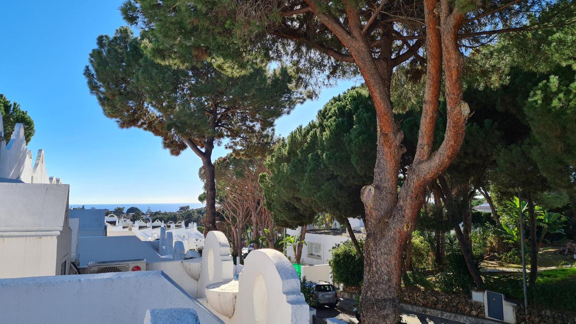 Casa Hibiscus Marbella Villa Kültér fotó